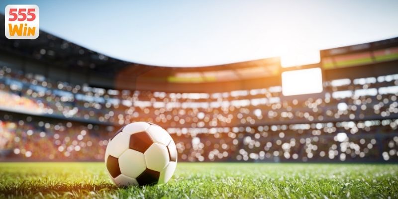 Những quyền lợi HOT dành cho thành viên